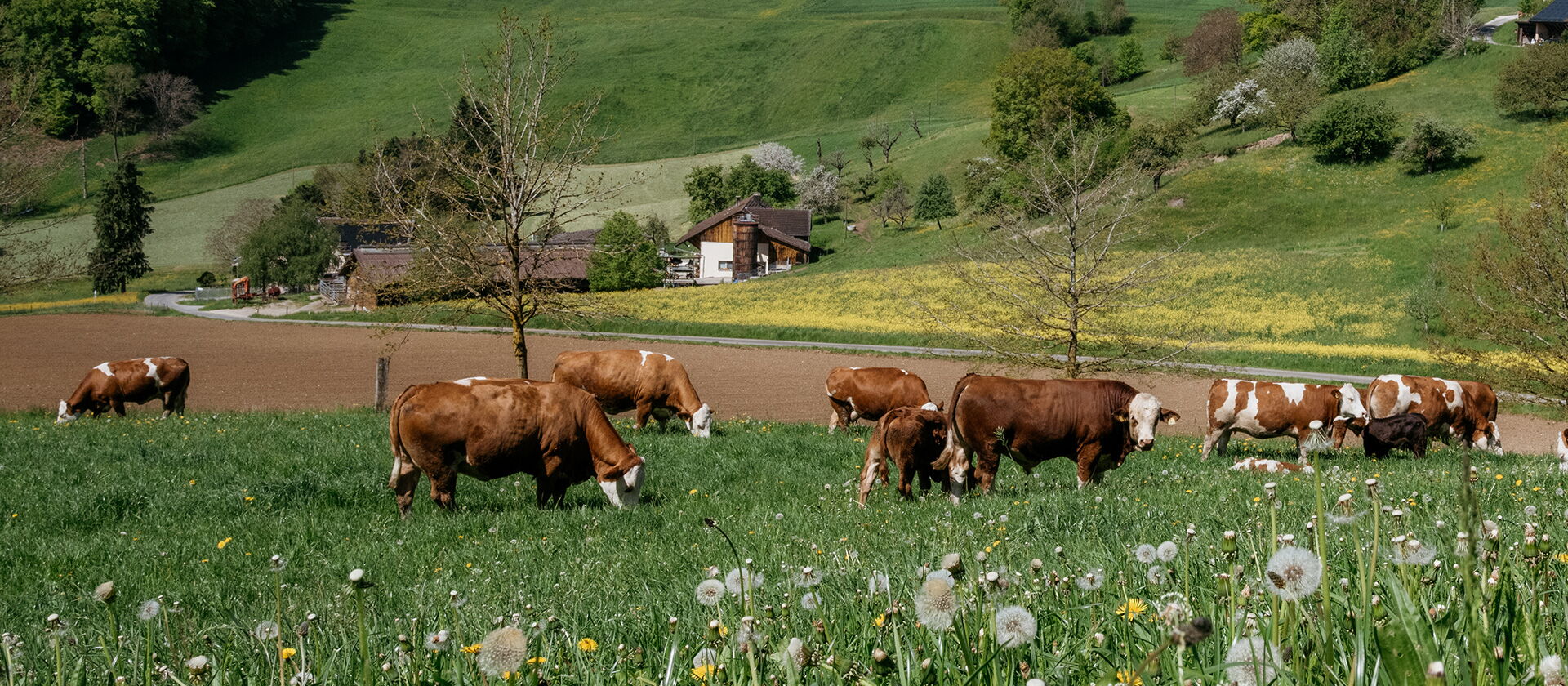 Rindfleisch-Label