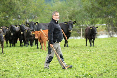 Présentation d'animaux en Engadine en 2017 | Photo : Engadin River Ranch