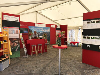 Stand d'exposition de Vache mère Suisse