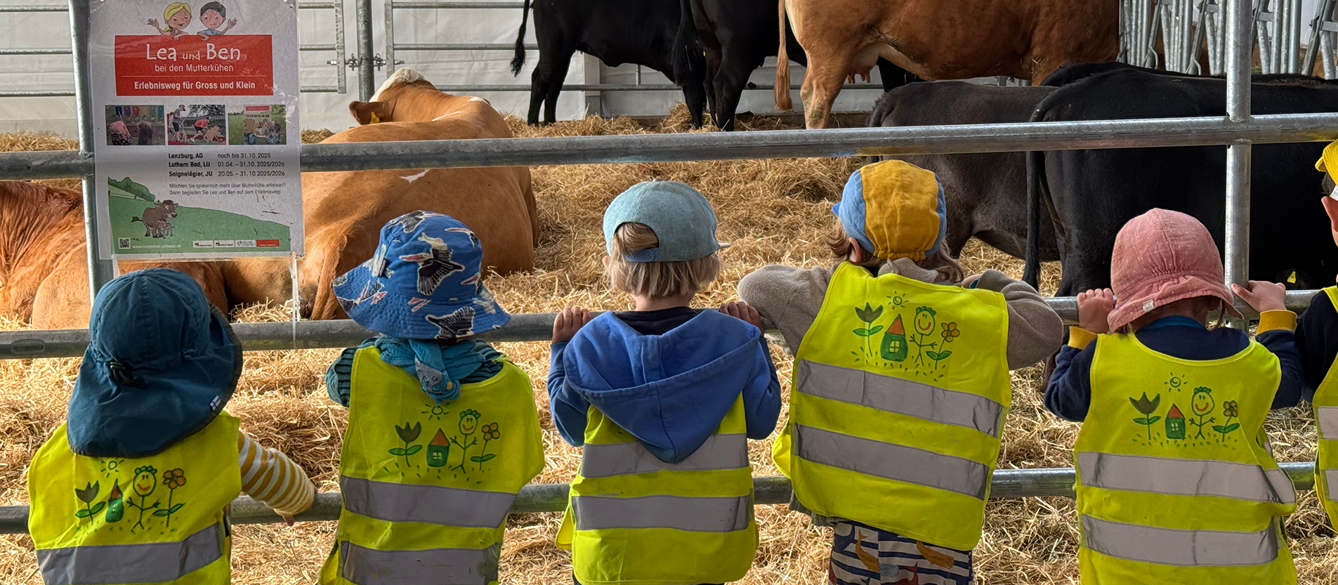 Rindfleisch-Label-Charolais
