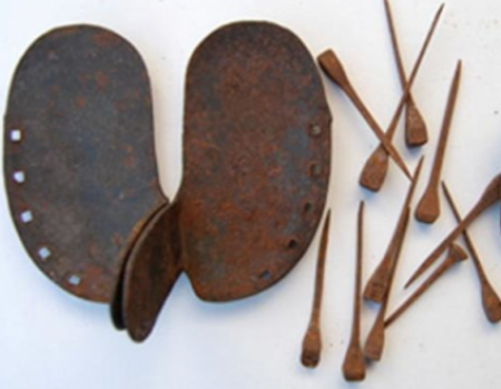 Mutterkühe mit Kälbern auf Alpweide