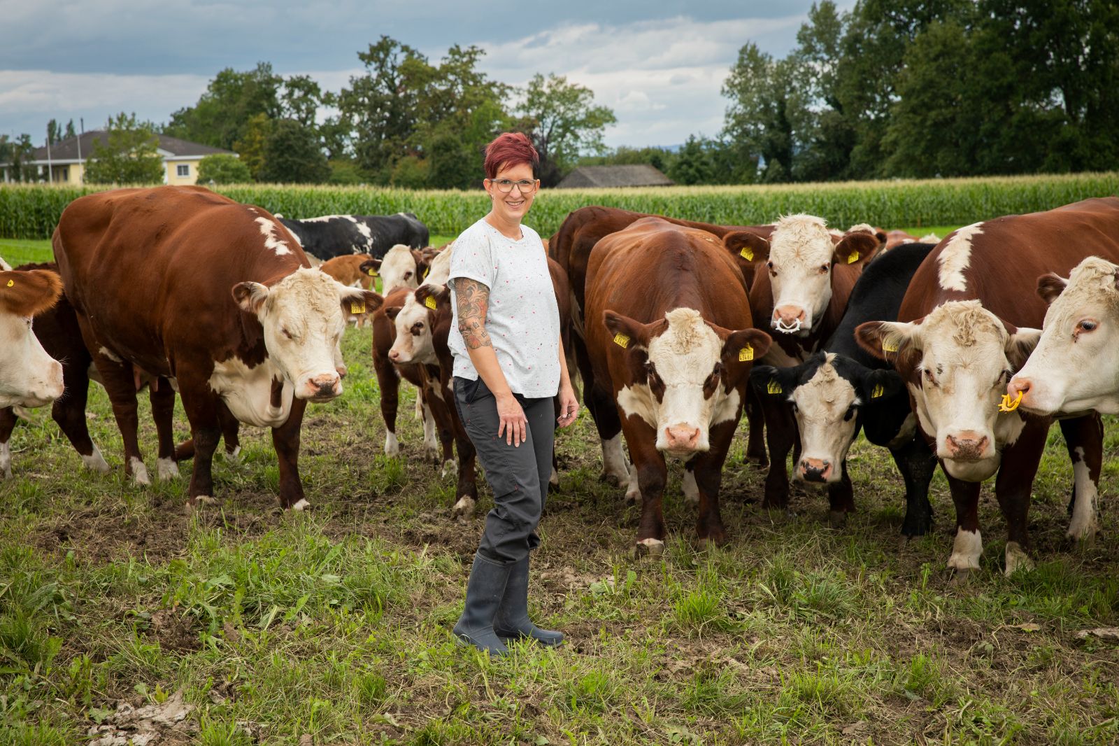 Conny et Roland présenteront une de leurs vaches allaitantes Hereford avec son veau à la foire WEGA. (Source : Ueli Christoffel / SRF)
