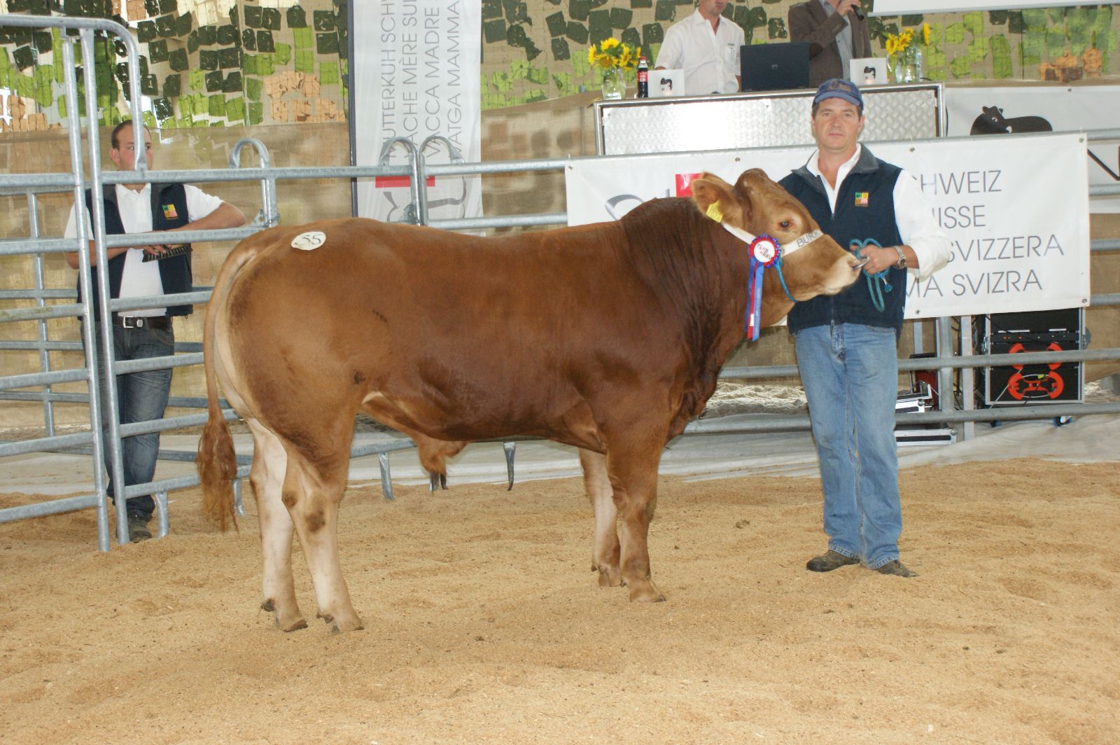 Les taureaux Limousins ont déjà valu de nombreuses distinctions à la famille Burri, qui est particulièrement fière de Palermo, champion au marché des taureaux de septembre 2014. (Photo: Vache mère Suisse)