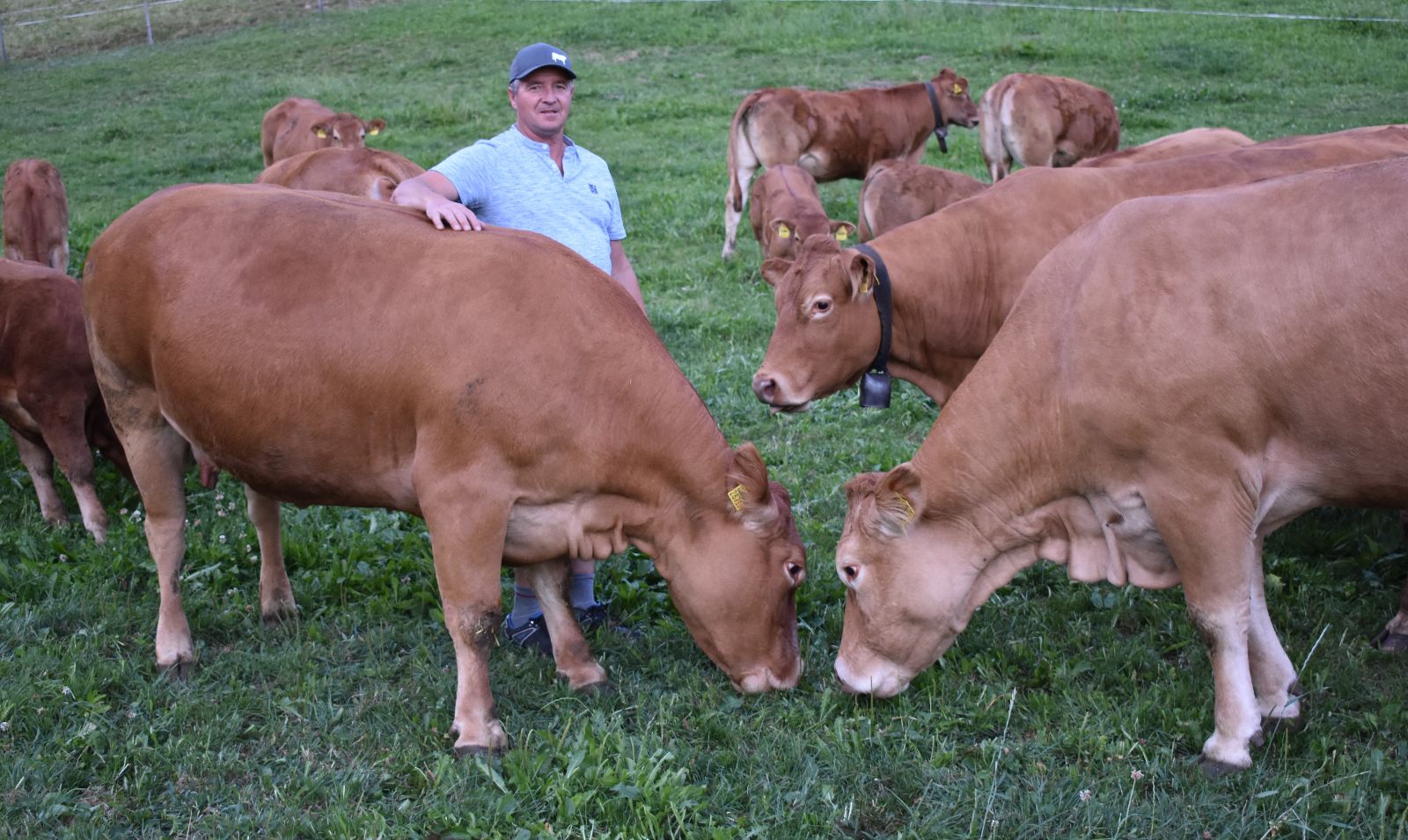 Franz Burri est fier de ses beaux animaux d'élevage.
