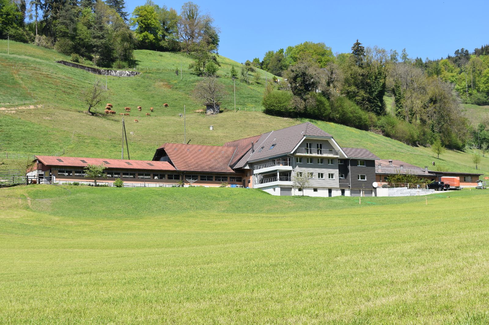 La ferme de Dagmersellen compte 31 hectares de SAU et 5 hectares de forêt.
