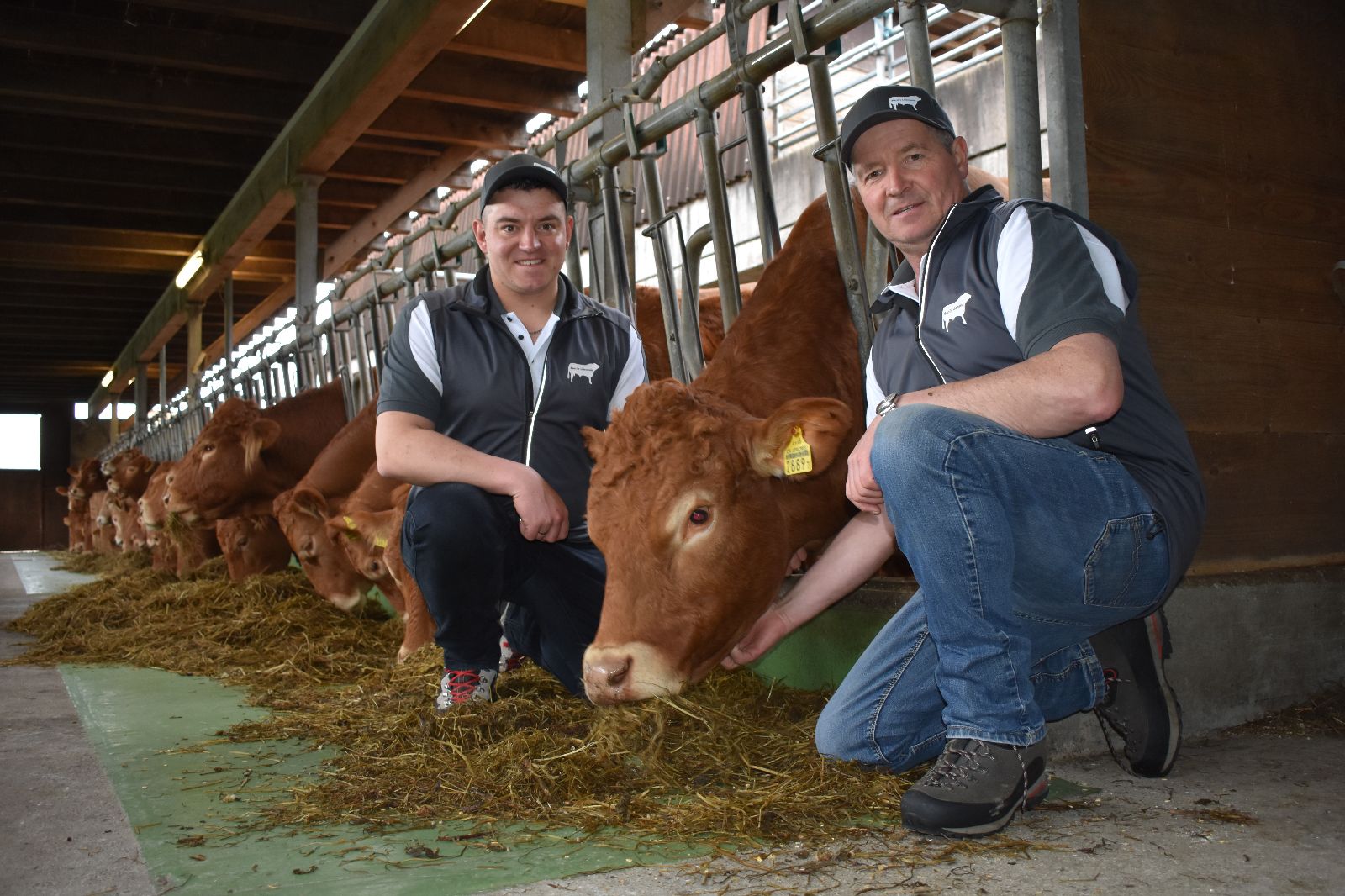 L’élevage de Limousines est la passion de toute la famille Burri. (Photo : màd)