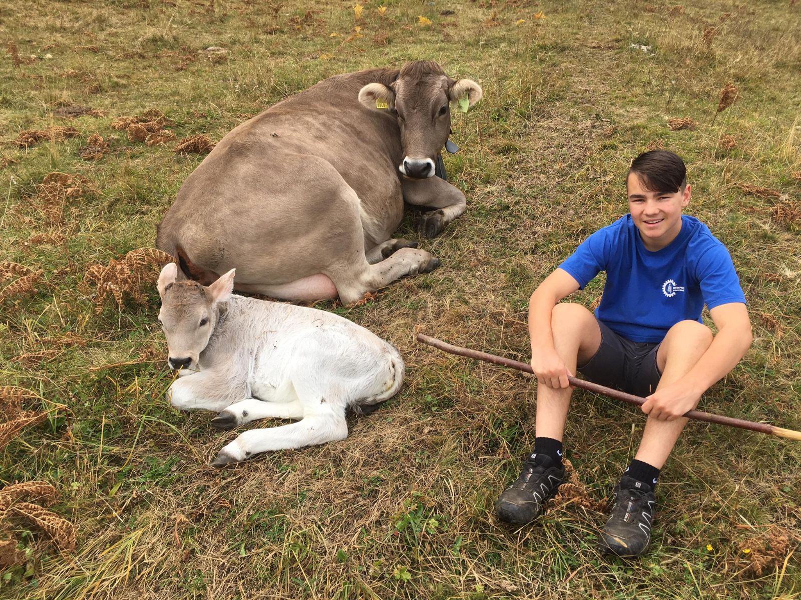 Damian Marugg aime être avec les vaches mères et leurs veaux sur l’alpage.