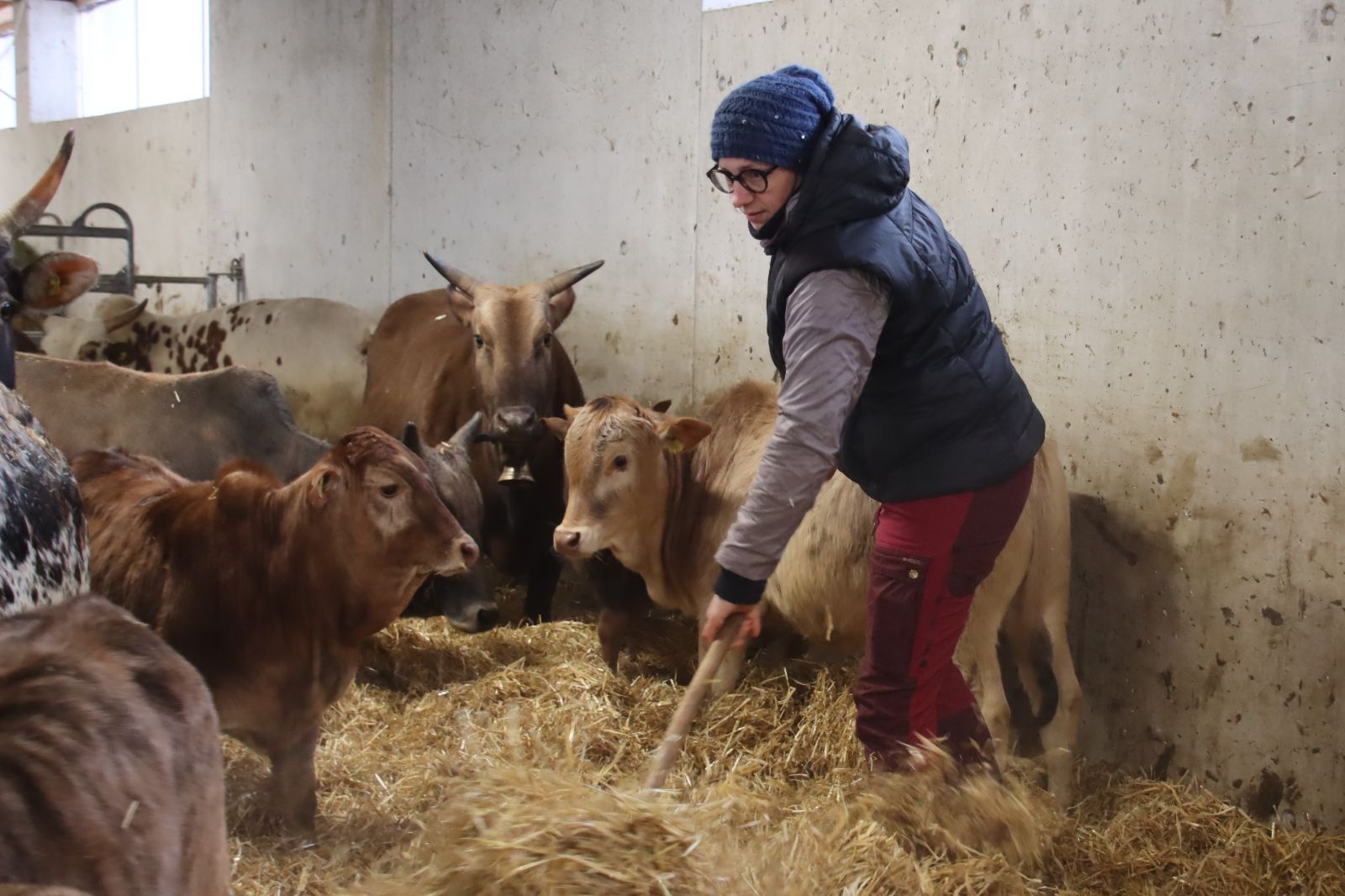 En changeant la litière quotidiennement, Rebekka offre un nid douillet à ses animaux.