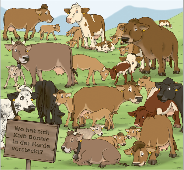 La quatrième de couverture du tome 2 de Lea et Ben montre un pâturage alpin avec de nombreuses vaches et veaux de différentes couleurs et races. Au premier plan se trouve un panneau en bois : où s'est caché le veau Ficelle ?