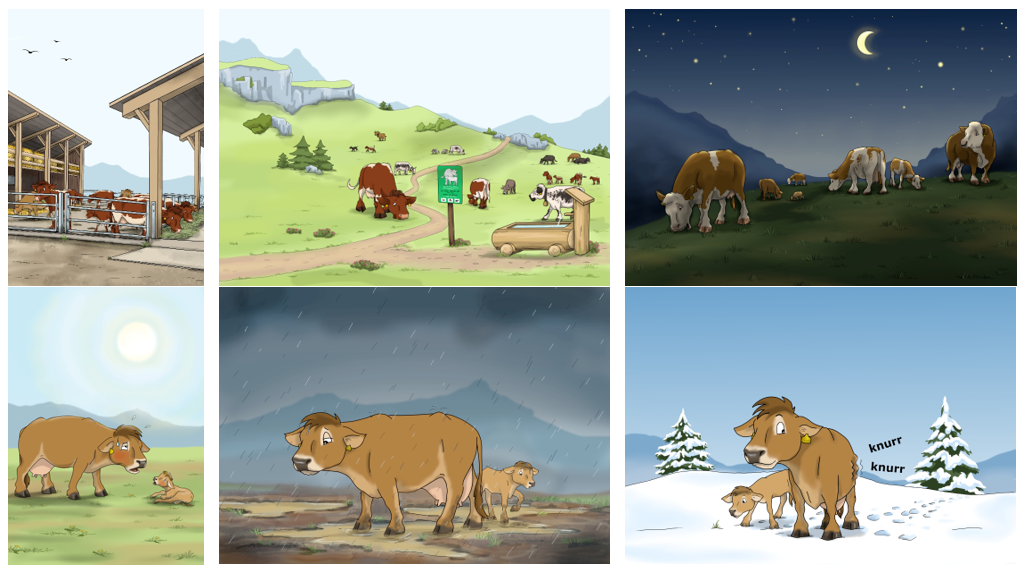 Images de vaches mères et de veaux à l'étable, dans les alpages, dans les pâturages la nuit, sous le soleil, la pluie et la neige.