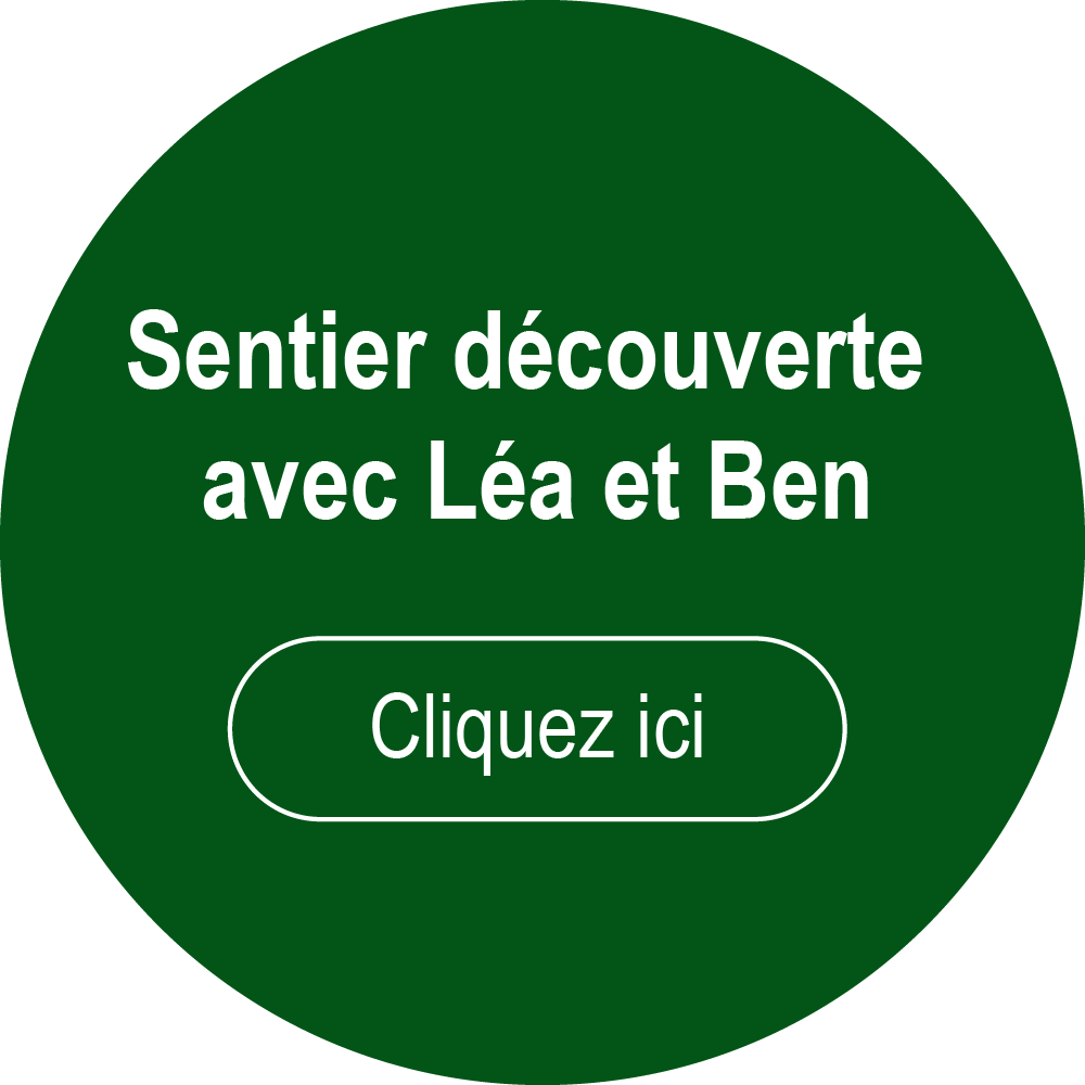 Sentier découverte avec Léa et Ben